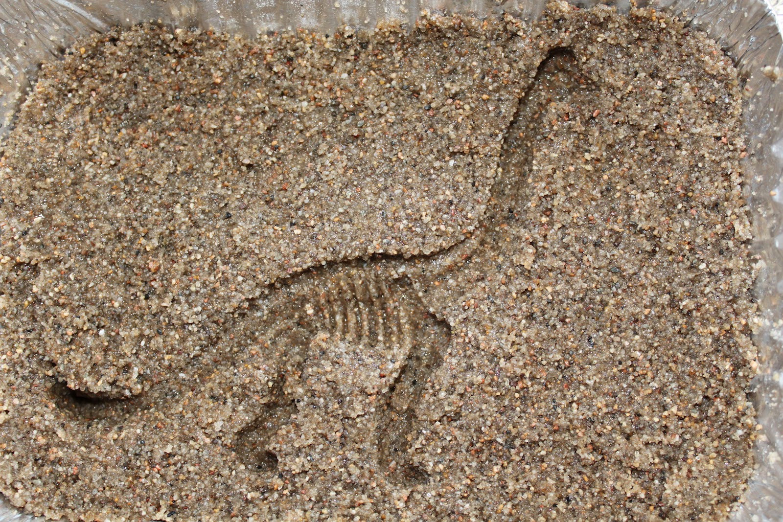 dinosaur fossil mold