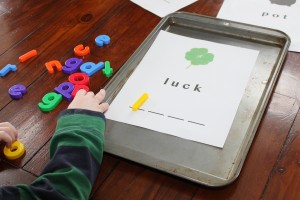 St. Patricks Day Literacy Activity
