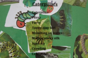 caterpillar poetry
