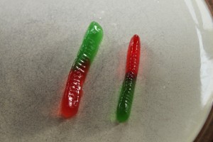 Gummy Worm Science 29