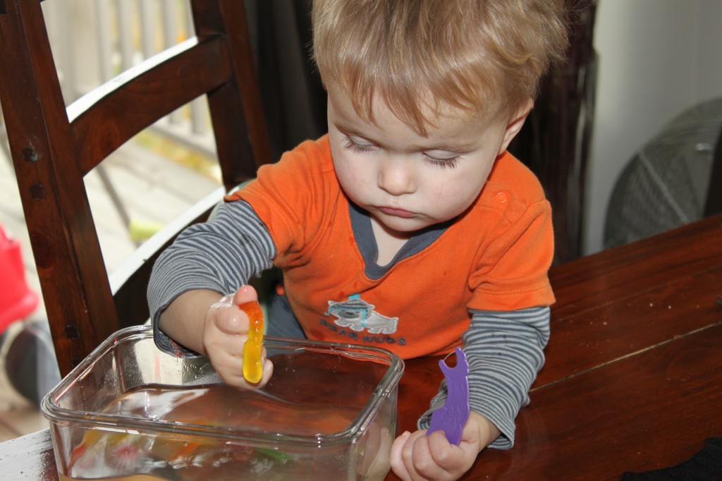 Gummy Worm Experiments