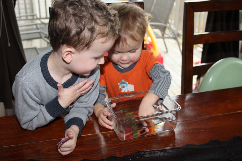 Gummy Worm Experiments