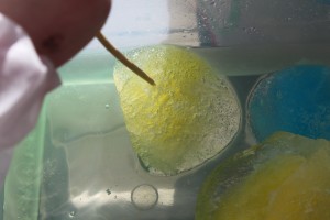 melting ice globes 19