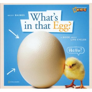 What's in that Egg?