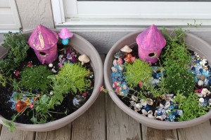 fairy gardens 25