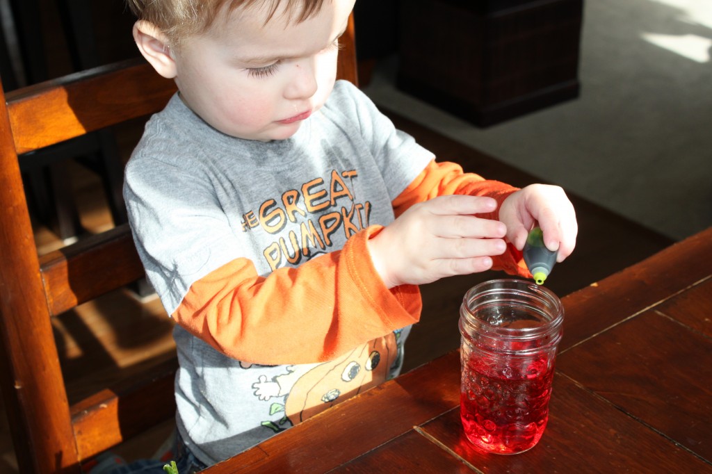 dying carnations science experiment