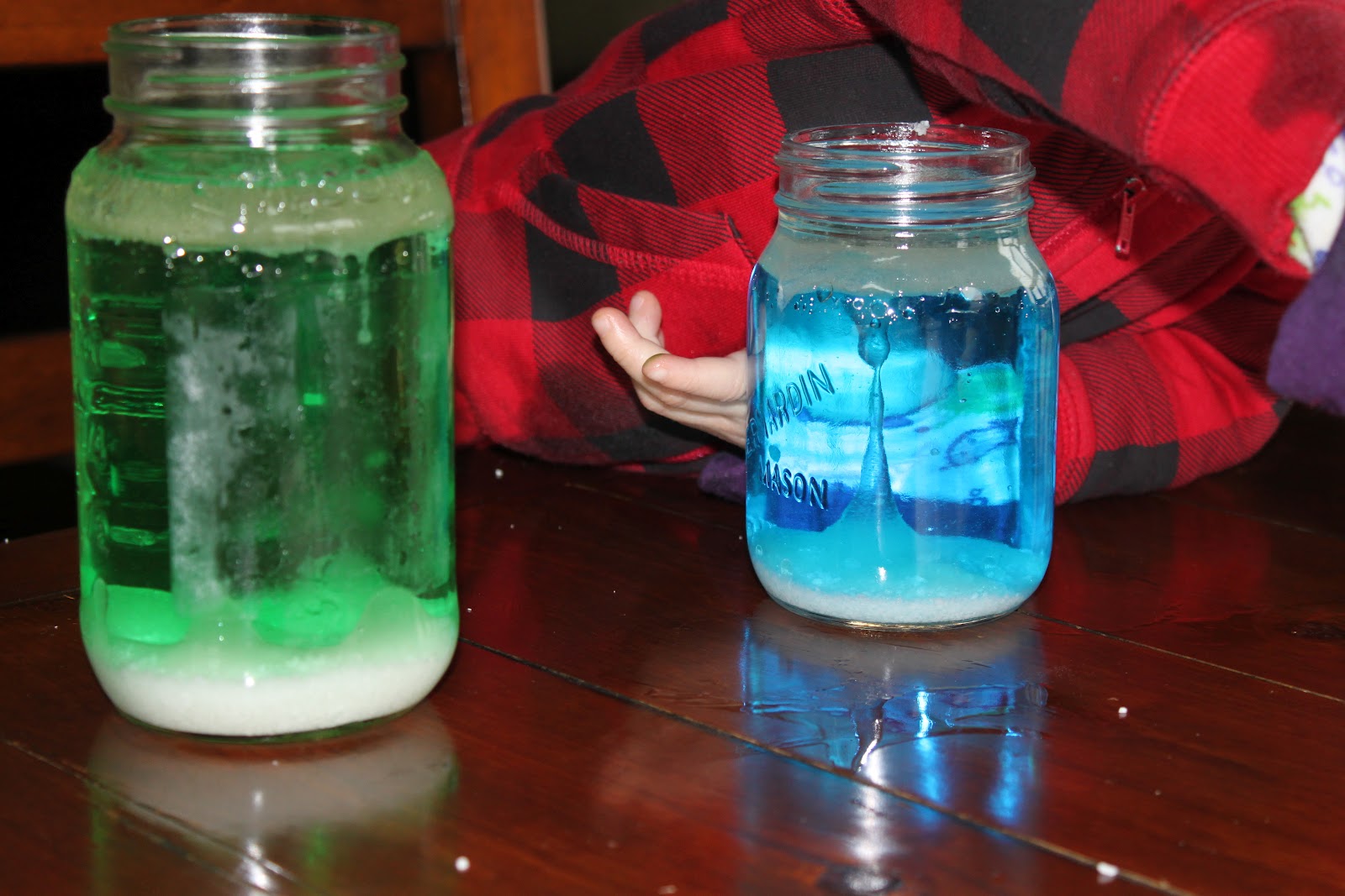 DIY Lava Lamps! - Busy Bugs

